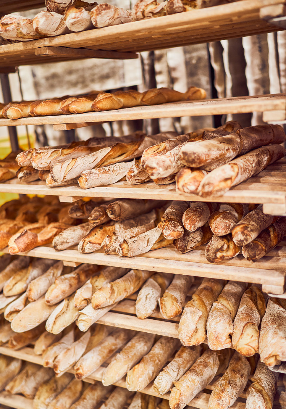 Dompierre Französische Bäckerei München